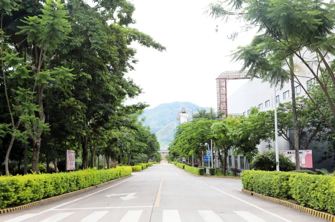 1705541628691576.jpg 123.jpg