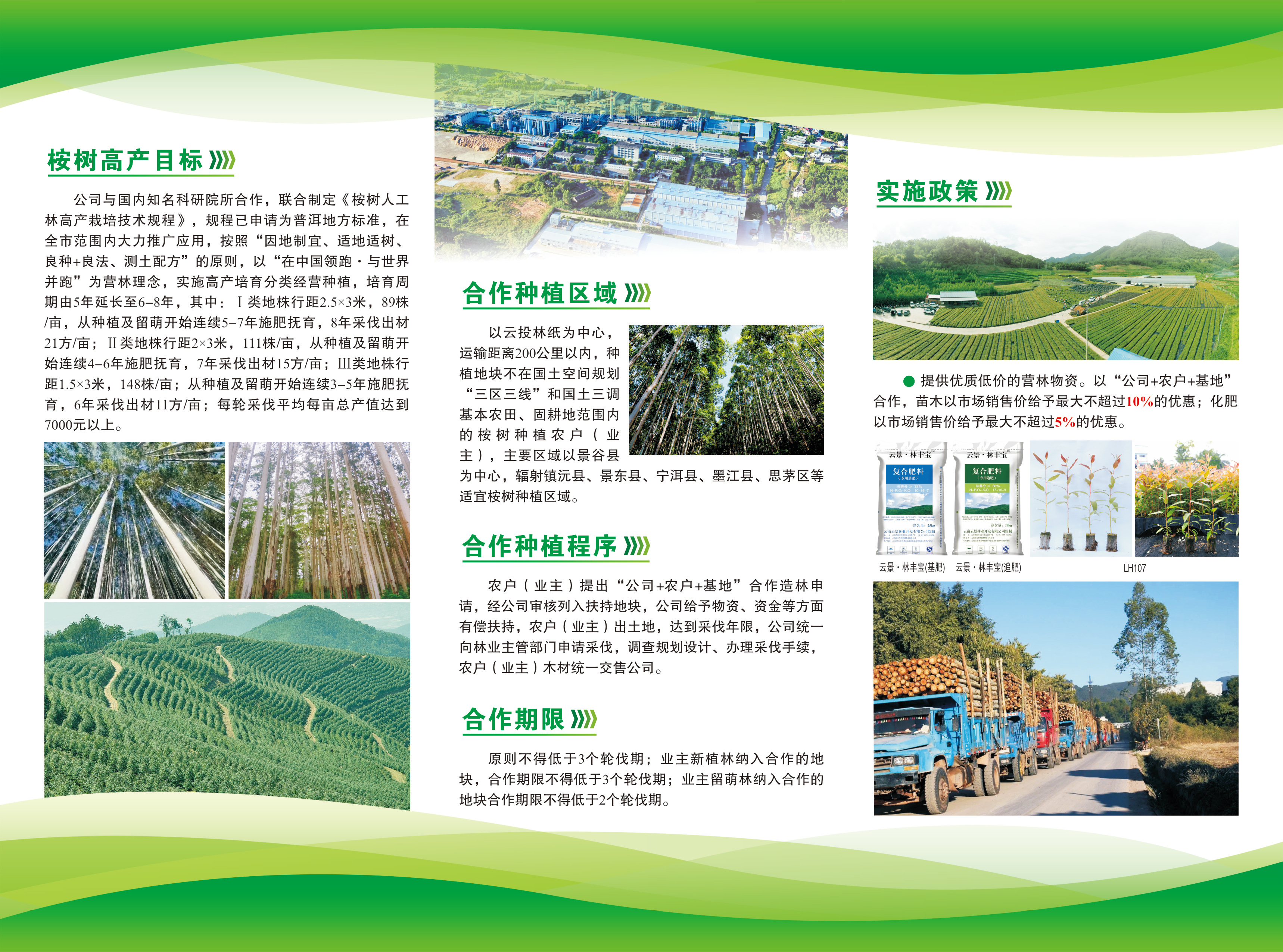 景林公司《合作造林政策宣傳冊(cè)》（2024.4.8定稿）-2.jpg