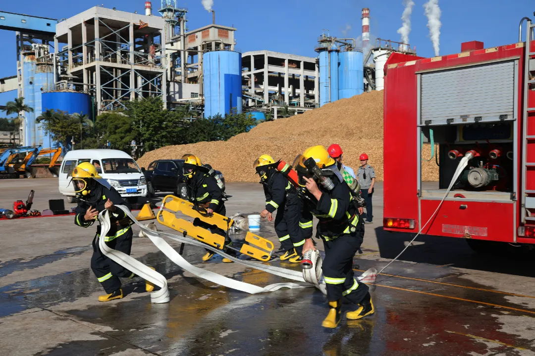 1733272351435669.jpg 62_看圖王.web.jpg