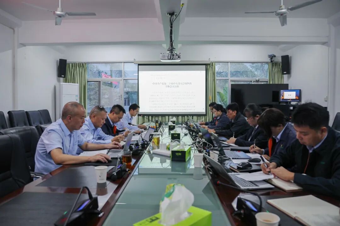 1761314827468736.jpg 640 (1).jpg